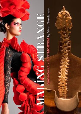 Gagawaka: Making Strange + Postmortem by Vivan Sundaram book cover
